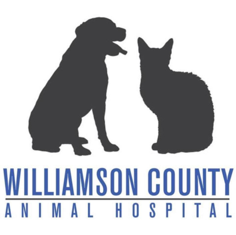Image of Williamson County Animal Hospital service in Franklin, Indiana, United States