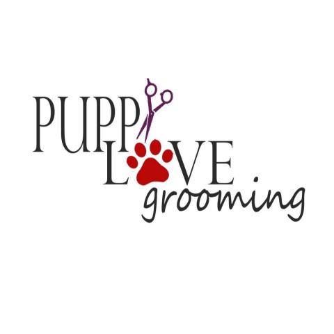 Image of Puppy Love Grooming - Pittsburgh service in Pittsburgh, Pennsylvania, United States Image of Puppy Love Grooming - Pittsburgh service in Pittsburgh, Pennsylvania, United States