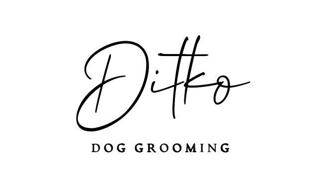 Image of DiTko Dog Grooming Salon service in Wien, Wien, Austria