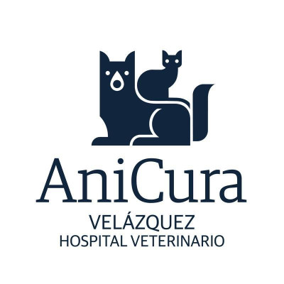 Image of AniCura Velázquez Hospital Veterinario service in Madrid, Madrid, Spain