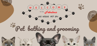 Image of Las Vegas Pet Spa service in Las Vegas, Nevada, United States