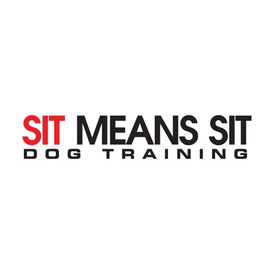 Image of Sit Means Sit Dog Training Tampa service in Tampa, Florida, United States Image of Sit Means Sit Dog Training Tampa service in Tampa, Florida, United States