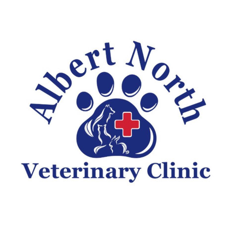 Image of Albert North Veterinary Clinic service in Regina, Saskatchewan, Canada
