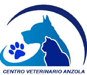 Image of Anzola Veterinary Center service in Anzola dell'Emilia, Bologna, Italy