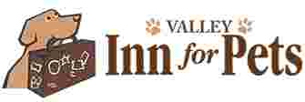 Image of Valley Inn For Pets service in Hampshire County, Massachusetts, United States Image of Valley Inn For Pets service in Hampshire County, Massachusetts, United States