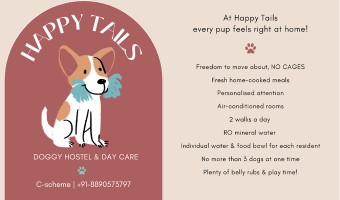 Image of Happy Tails Dog Boarding service in Olympia, Washington, United States Image of Happy Tails Dog Boarding service in Olympia, Washington, United States