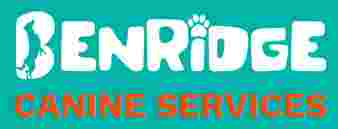 Image of Benridge Canine Services service in Markham, Ontario, Canada Image of Benridge Canine Services service in Markham, Ontario, Canada
