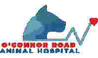 Image of O'Connor Road Animal Hospital service in San Antonio, Texas, United States