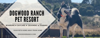 Image of Dogwood Ranch Pet Resort service in Prunedale, California, United States Image of Dogwood Ranch Pet Resort service in Prunedale, California, United States