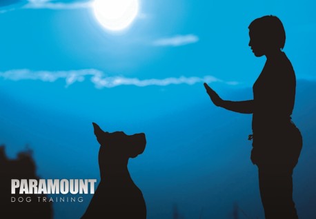 Image of Paramount Dog Training service in Columbia Station, Ohio, United States Image of Paramount Dog Training service in Columbia Station, Ohio, United States