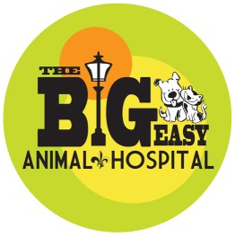 Image of Big Easy Dog Daze & Cafe service in Pittsburgh, Pennsylvania, United States