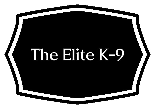 Image of The Elite K9 service in Portland, Connecticut, United States Image of The Elite K9 service in Portland, Connecticut, United States