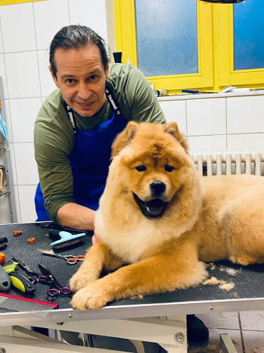 Image of Hundefriseur Aleko Leipzig service in Leipzig, Sachsen, Germany
