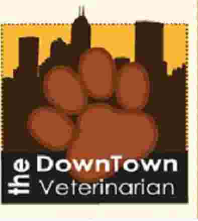 Image of The Downtown Veterinarian service in Indianapolis, Indiana, United States