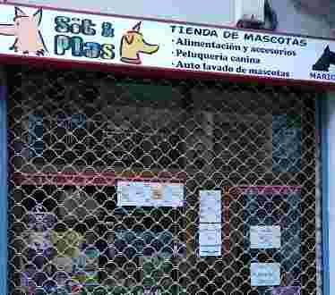 Image of Sit & Plas service in Valladolid, Valladolid, Spain