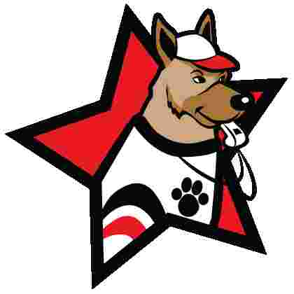 Image of The K9 Coach | Sarasota Dog Training service in Sarasota, Florida, United States Image of The K9 Coach | Sarasota Dog Training service in Sarasota, Florida, United States