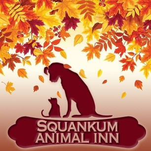 Image of Squankum Animal Inn service in Howell Township, New Jersey, United States