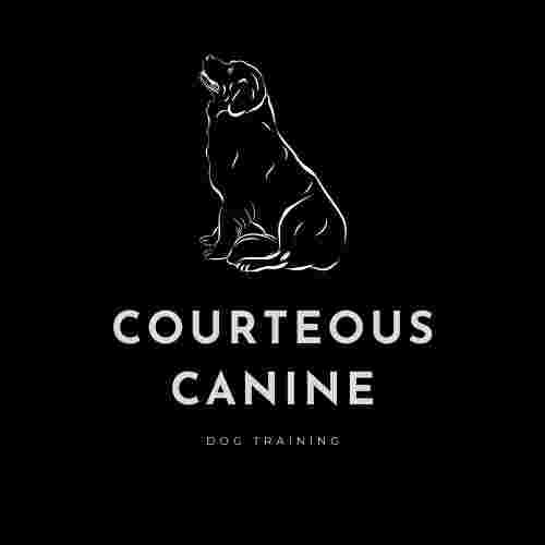 Image of Courteous Canine LLC. service in Oklahoma City, Oklahoma, United States Image of Courteous Canine LLC. service in Oklahoma City, Oklahoma, United States