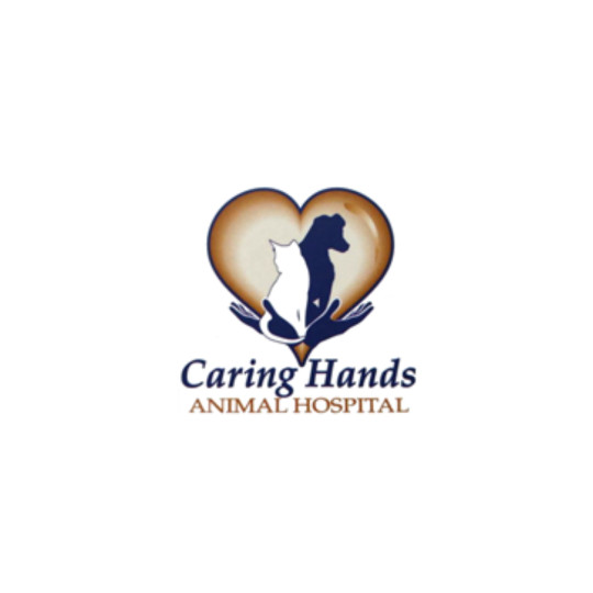 Image of Caring Hands Animal Hospital service in Las Vegas, Nevada, United States