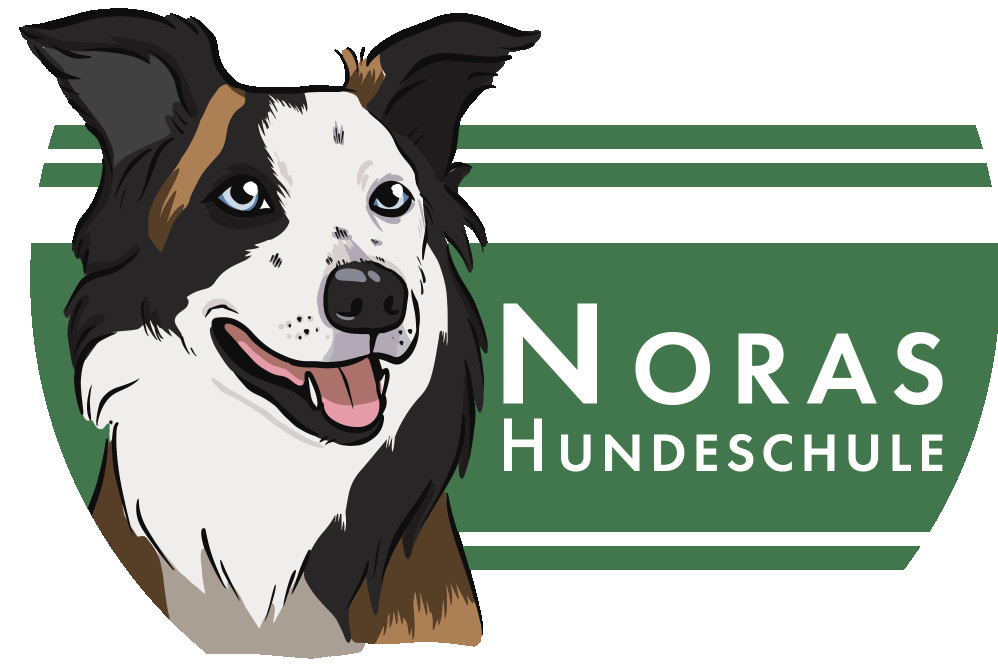 Image of Noras Hundeschule service in Bremen, Bremen, Germany
