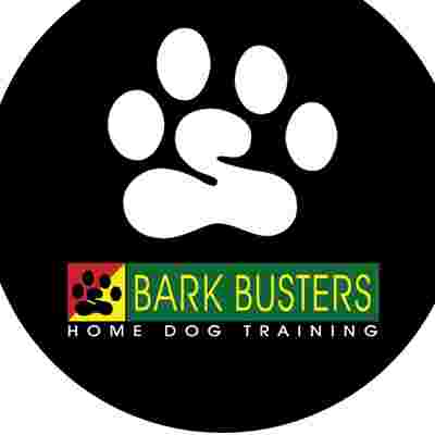 Image of Bark Busters - Venice service in Venice, California, United States Image of Bark Busters - Venice service in Venice, California, United States