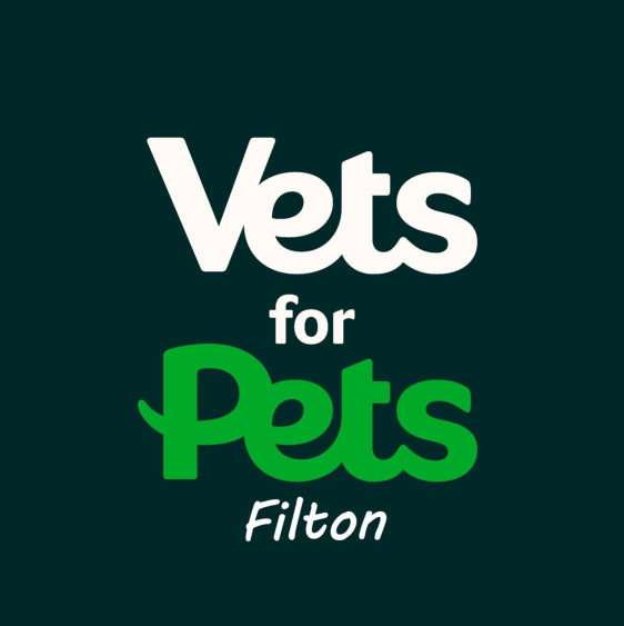 Image of Vets for Pets - Filton service in Filton, England, United Kingdom