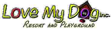 Image of Love My Dog Resort & Waterpark service in St. Petersburg, Florida, United States Image of Love My Dog Resort & Waterpark service in St. Petersburg, Florida, United States