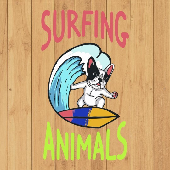 Image of Peluqueria canina en Benidorm Surfing Animals service in Benidorm, Alacant, Spain