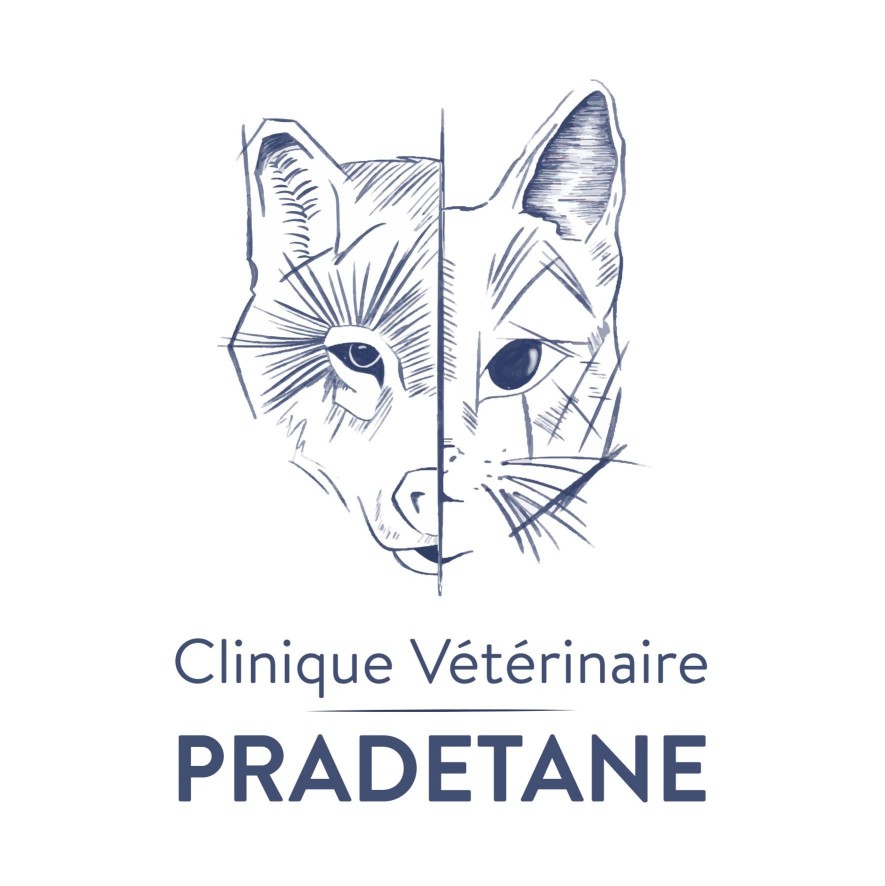 Image of Clinique Veterinaire Pradétane service in Le Pradet, Var, France Image of Clinique Veterinaire Pradétane service in Le Pradet, Var, France