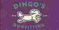 Image of Dingo's Dogsitting & Doggy Daycare service in Essex County, Massachusetts, United States Image of Dingo's Dogsitting & Doggy Daycare service in Essex County, Massachusetts, United States
