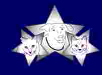Image of Three Star Pet Sitting Services service in Toronto, Ontario, Canada Image of Three Star Pet Sitting Services service in Toronto, Ontario, Canada