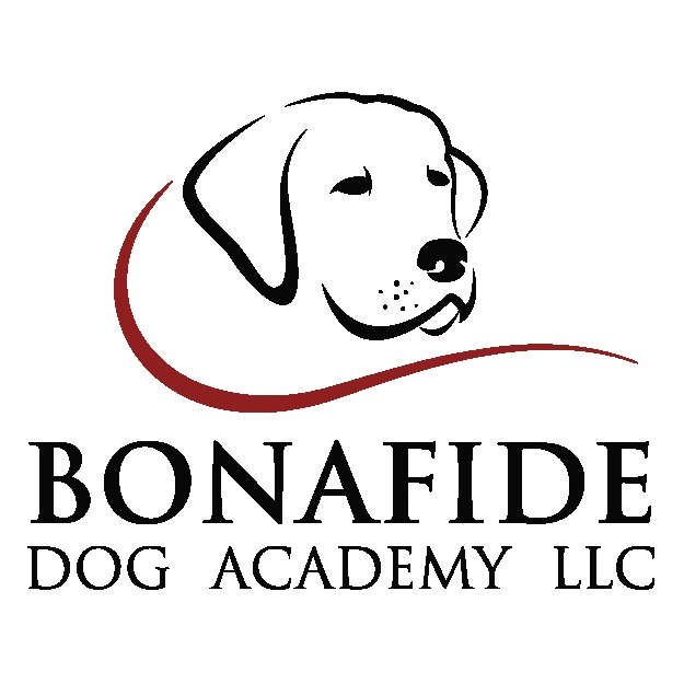 Image of Bonafide Dog Academy LLC service in Omaha, Nebraska, United States Image of Bonafide Dog Academy LLC service in Omaha, Nebraska, United States