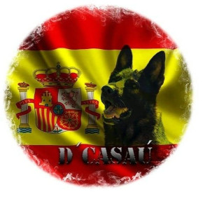 Image of D'casaumurciak9 service in La Alberca, Castilla y León, Spain