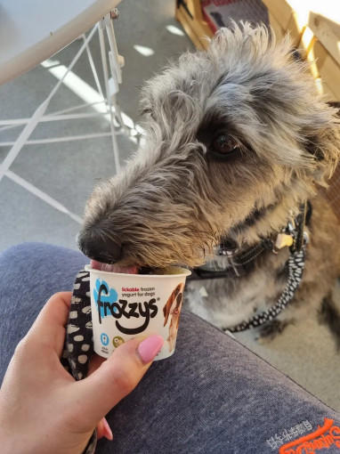 Image of Pet Lodge Superstore service in Leeds, England, United Kingdom