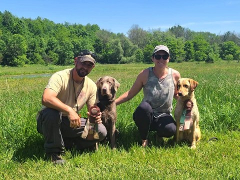 Image of Guns Up Dog Training service in Washington Township, New Jersey, United States