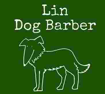 Image of LIN DOG BARBER service in Tarragona, Tarragona, Spain