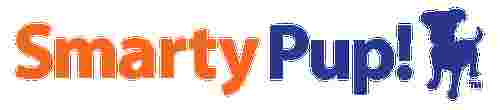 Image of SmartyPup! service in San Francisco, California, United States Image of SmartyPup! service in San Francisco, California, United States