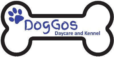 Image of Doggos Daycare service in Medicine Hat, Alberta, Canada Image of Doggos Daycare service in Medicine Hat, Alberta, Canada