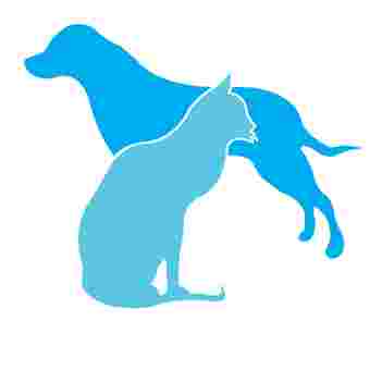 Image of Yew Tree Veterinary Surgery - Withington service in Manchester, England, United Kingdom