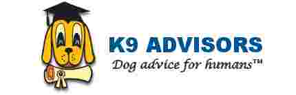 Image of K9 Advisors Dog Training service in Hollywood, California, United States Image of K9 Advisors Dog Training service in Hollywood, California, United States