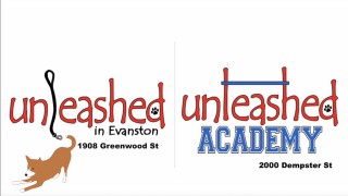Image of Unleashed Academy - Evanston service in Evanston, Illinois, United States Image of Unleashed Academy - Evanston service in Evanston, Illinois, United States