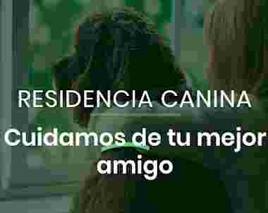 Image of Residencia Canina Como en casa service in Madrid, Madrid, Spain