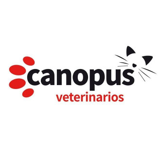 Image of Clinica veterinaria Canopus service in Sevilla, Sevilla, Spain