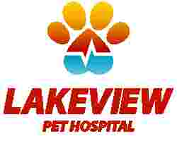 Image of Lakeview Pet Hospital service in Oklahoma City, Oklahoma, United States Image of Lakeview Pet Hospital service in Oklahoma City, Oklahoma, United States