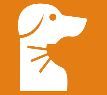 Image of Neptune Veterinary Center service in Valladolid, Valladolid, Spain