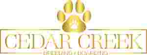 Image of Cedar Creek Kennels Pet Lodge service in Laurel, Ontario, Canada Image of Cedar Creek Kennels Pet Lodge service in Laurel, Ontario, Canada