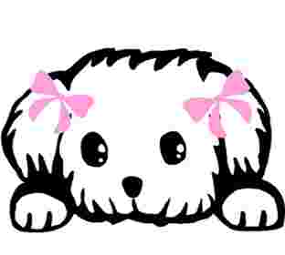 Image of Piggy Tails Pet Spa & More service in Las Vegas, Nevada, United States
