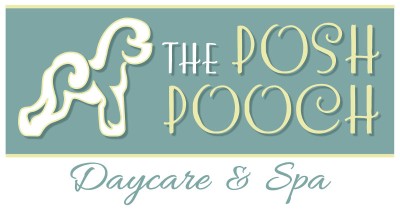 Image of The Posh Pooch service in Cherry Hill Township, New Jersey, United States Image of The Posh Pooch service in Cherry Hill Township, New Jersey, United States