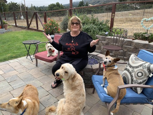 Image of myk9smind service in Salinas, California, United States Image of myk9smind service in Salinas, California, United States