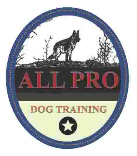 Image of All Pro Dog Training service in Elizabeth, Colorado, United States Image of All Pro Dog Training service in Elizabeth, Colorado, United States